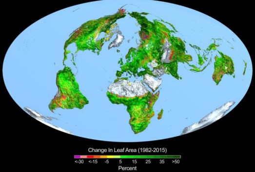 Change In Leaf Area (1982-2015)